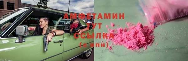 СК Алексин