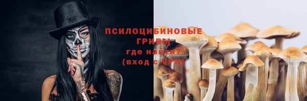 ECSTASY Алзамай