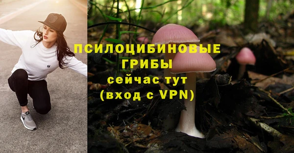 дживик Абаза