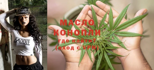 СК Алексин