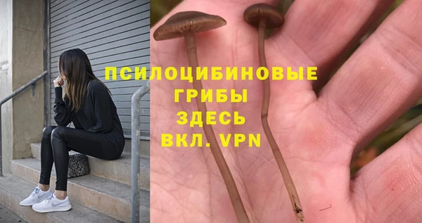ECSTASY Алзамай