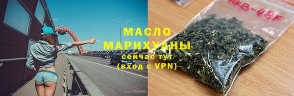 ECSTASY Алзамай